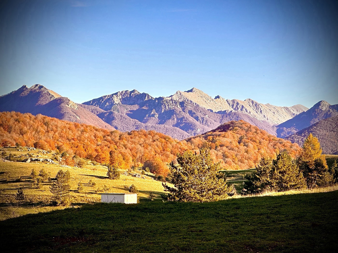 Trilocale in vendita a Pescasseroli