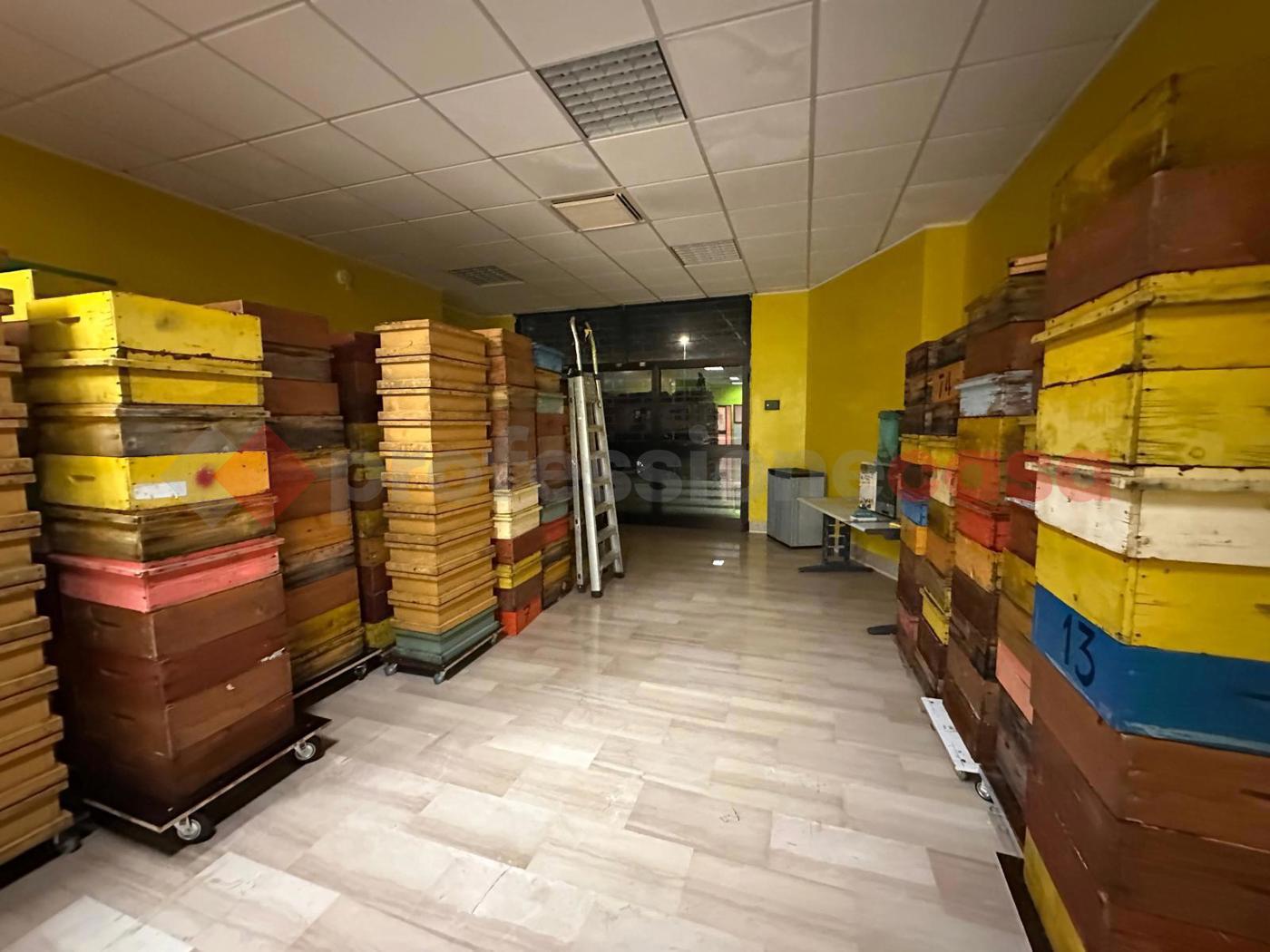 Laboratorio in vendita a Avezzano