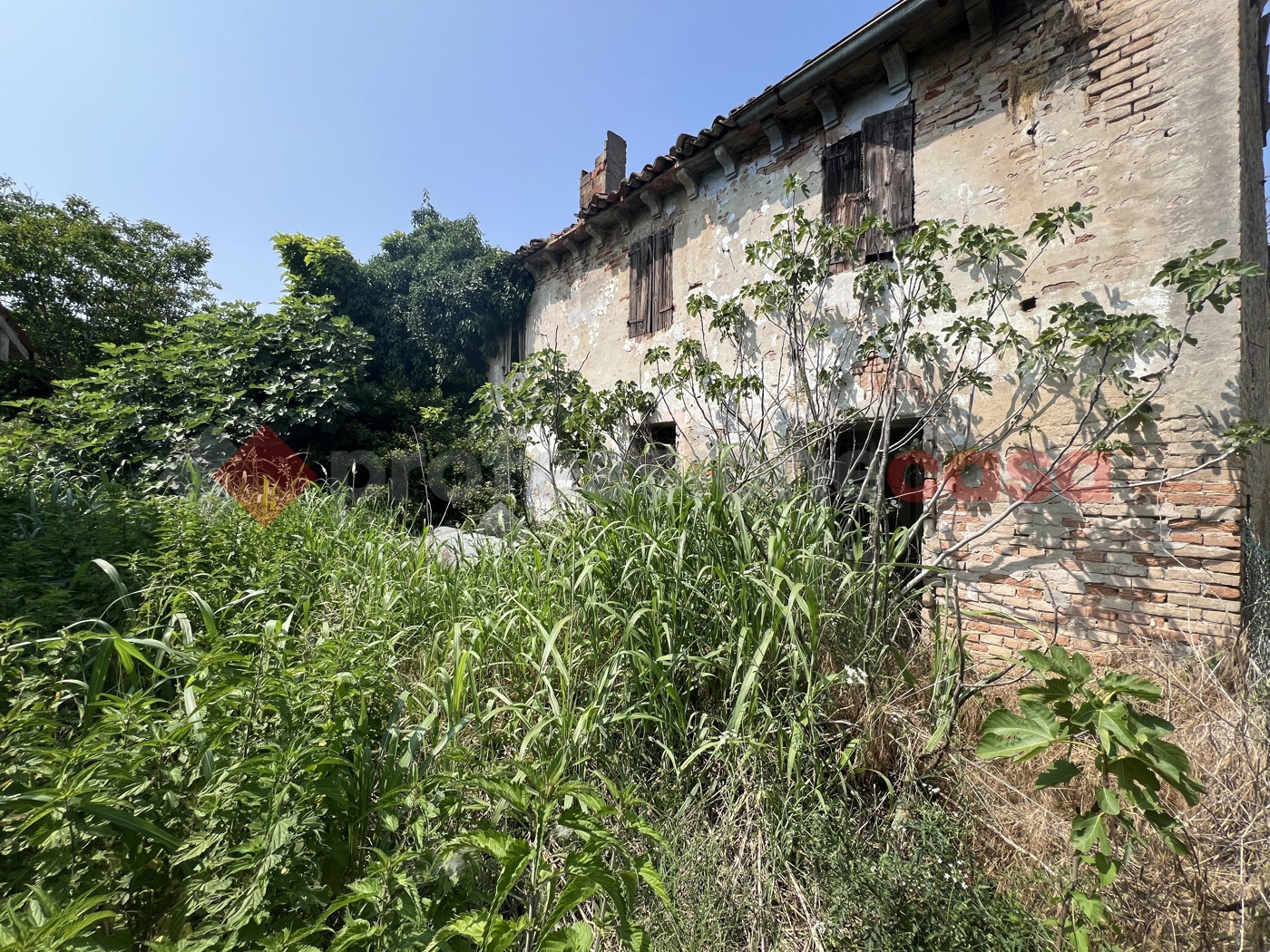 Rustico con giardino a Isola Rizza