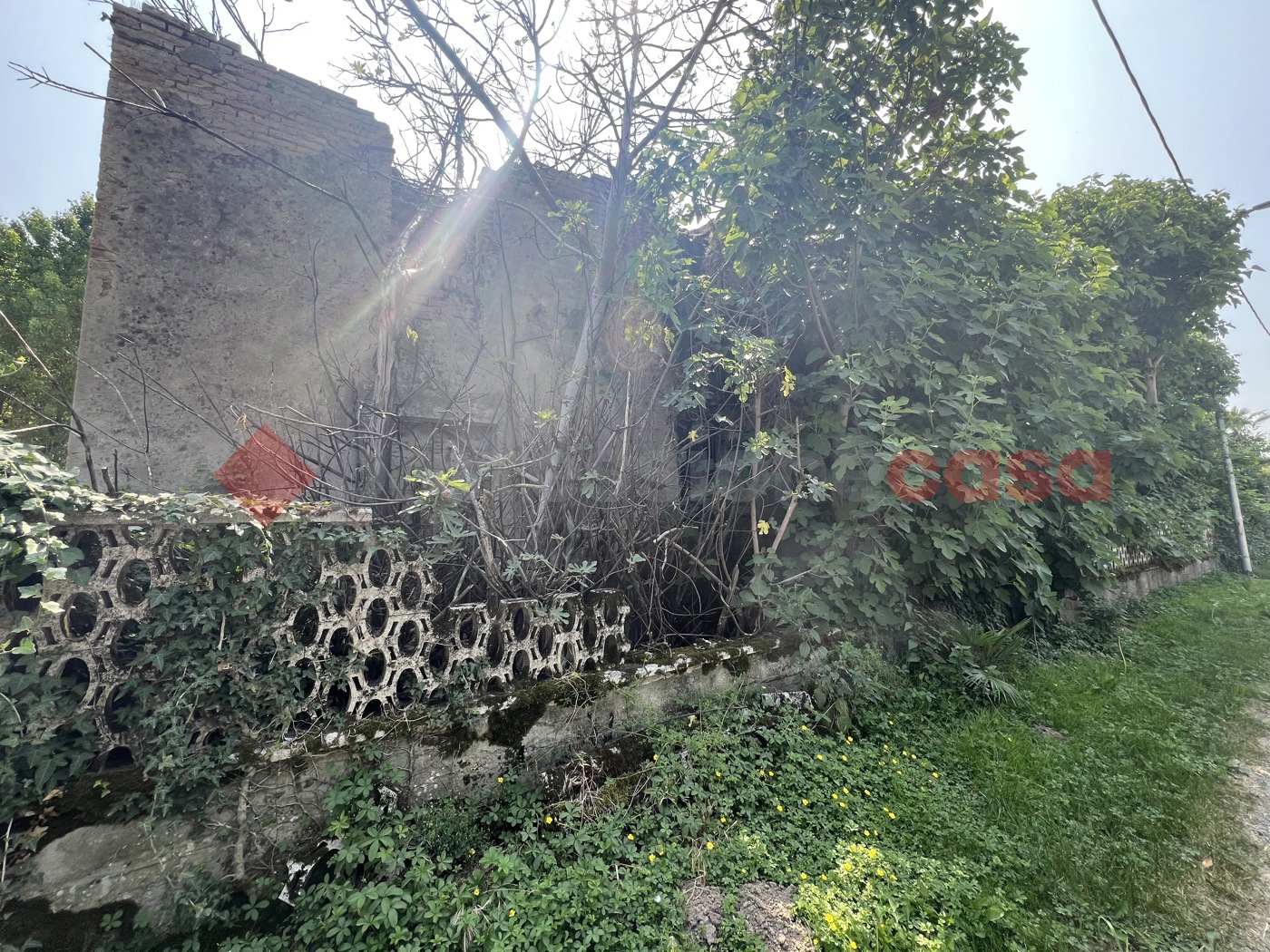 Rustico con giardino a Isola Rizza