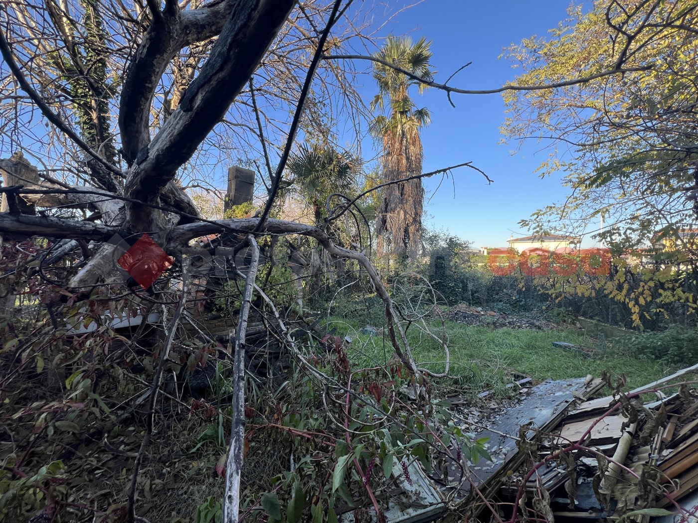Casa indipendente con giardino a Isola Rizza