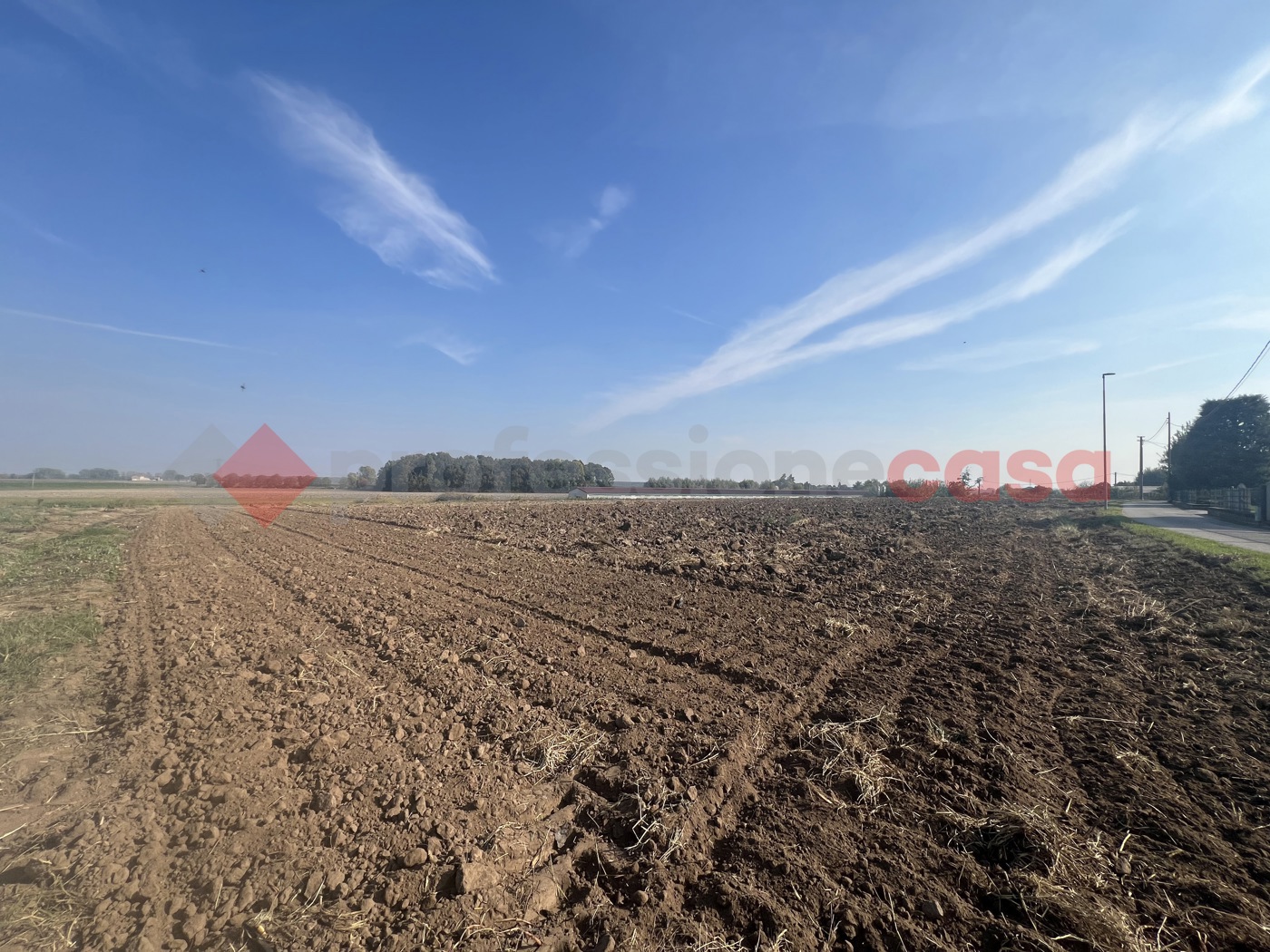 Terreno Agricolo in vendita a Isola Rizza