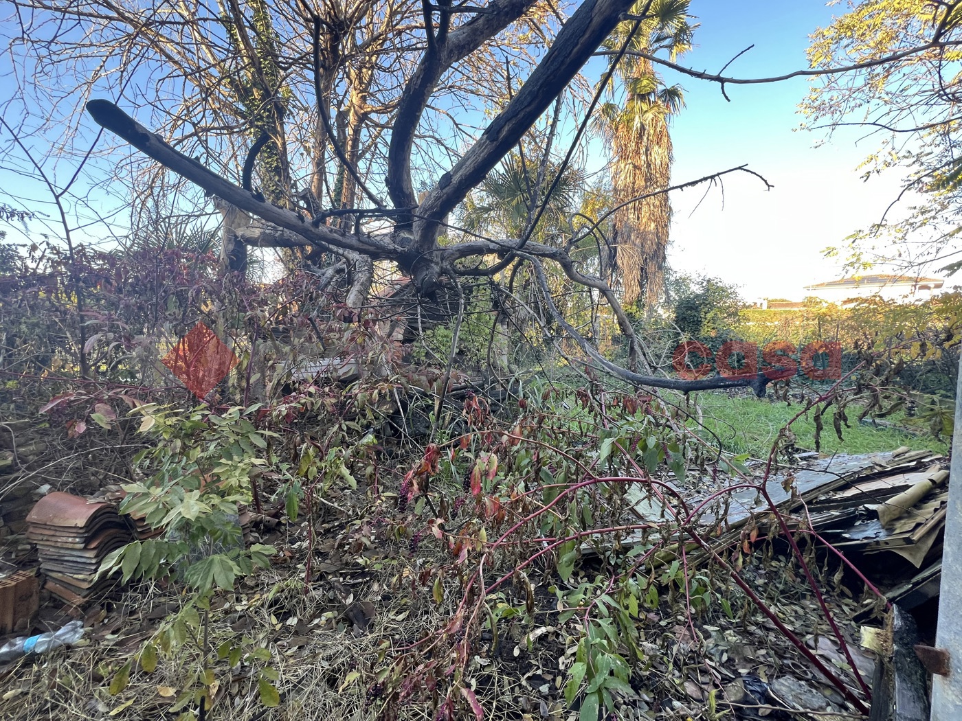 Rustico con giardino a Isola Rizza