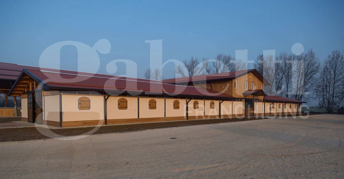 Stabile/Palazzo in vendita a Seniga