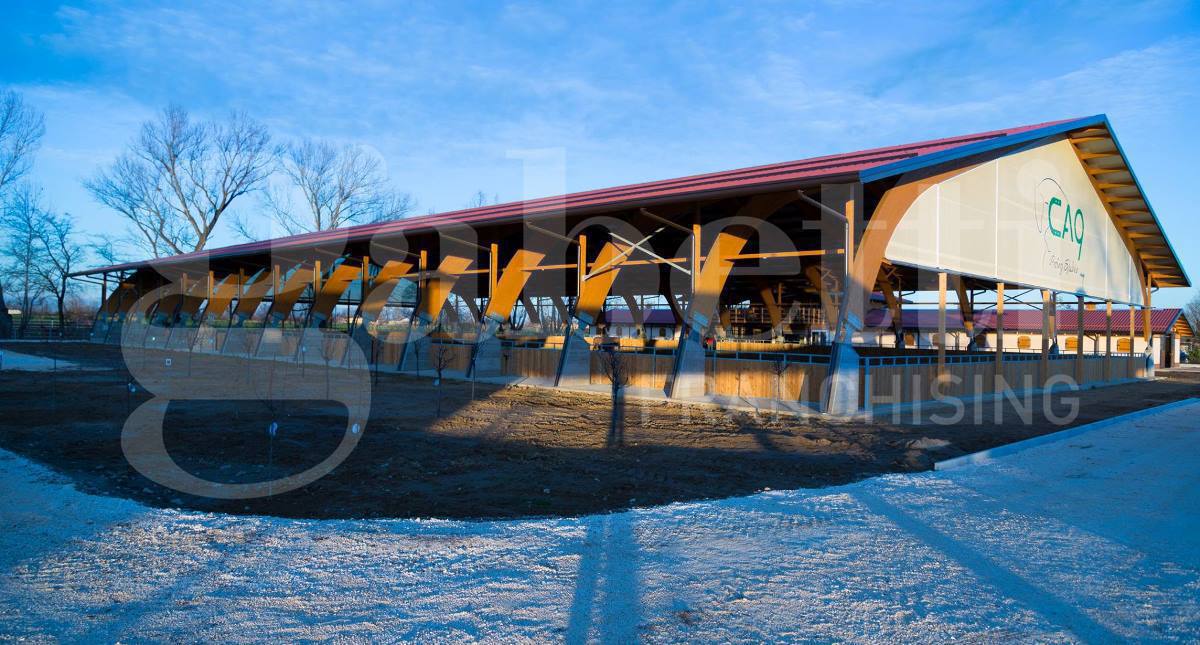 Stabile/Palazzo in vendita a Seniga