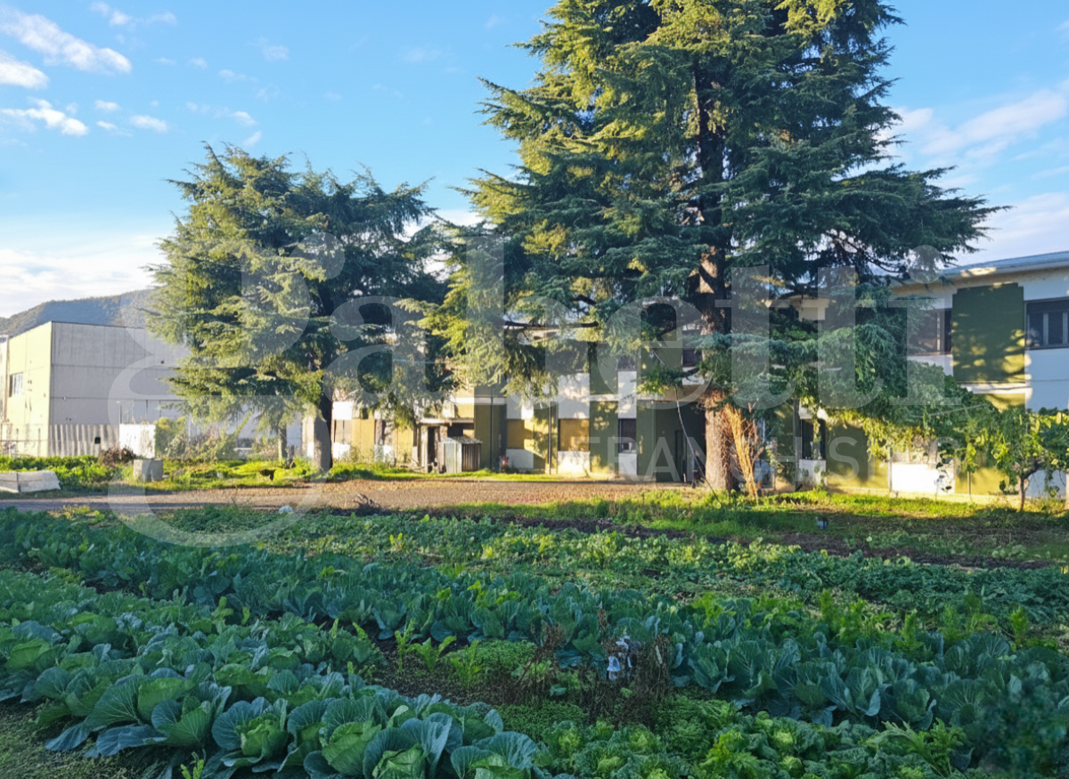 Capannone in vendita a Botticino