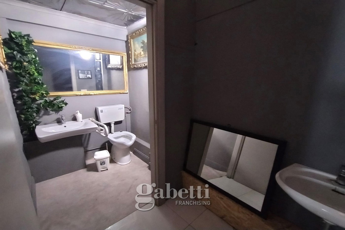 Attivit� commerciale Bar e tabacchi in vendita a Campobasso