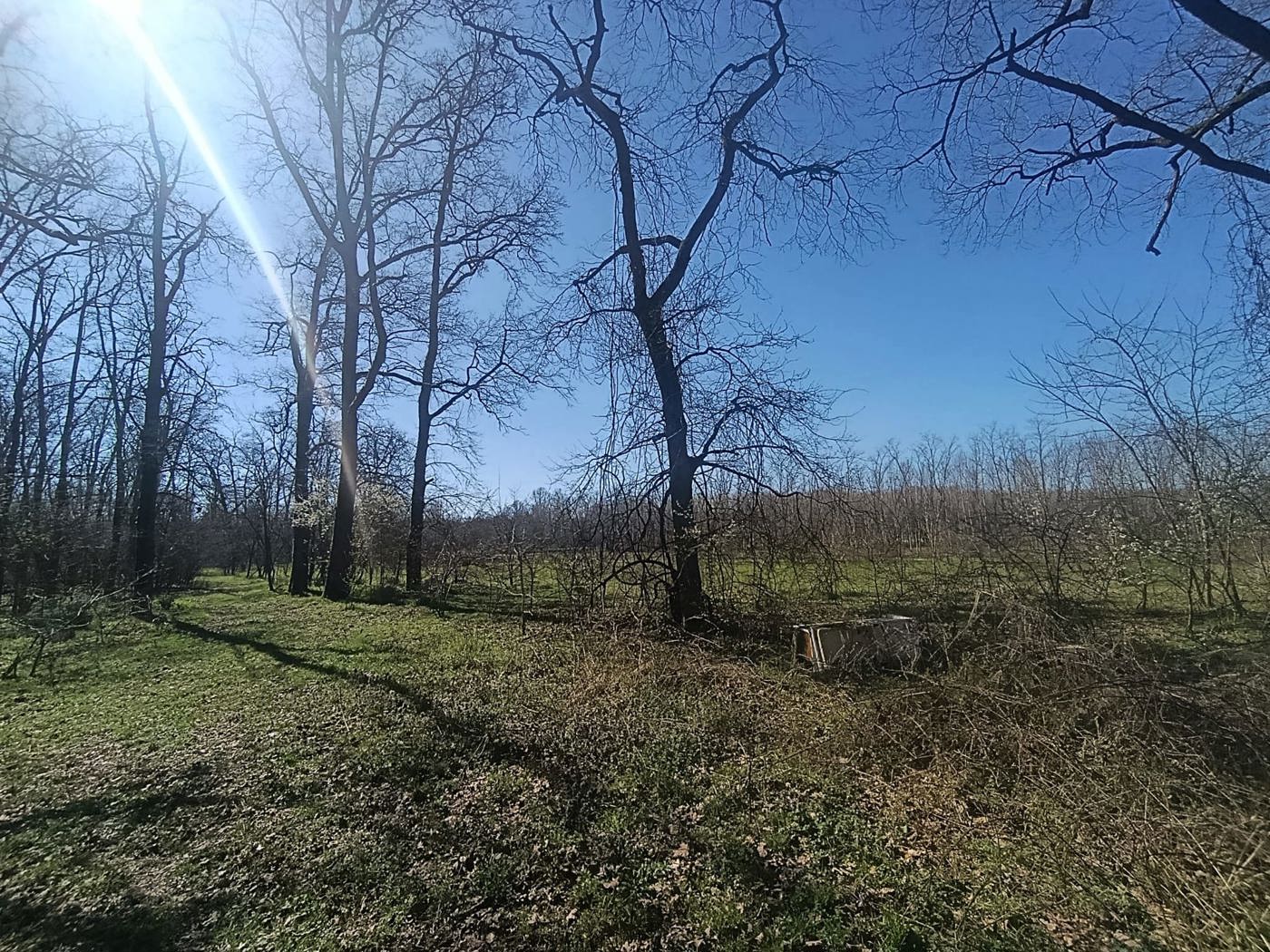 Terreno Agricolo in vendita a Cergnago