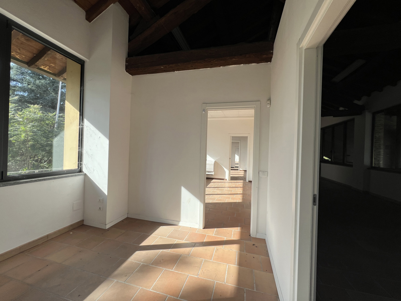 Attivit commerciale in affitto/gestione a Vigevano