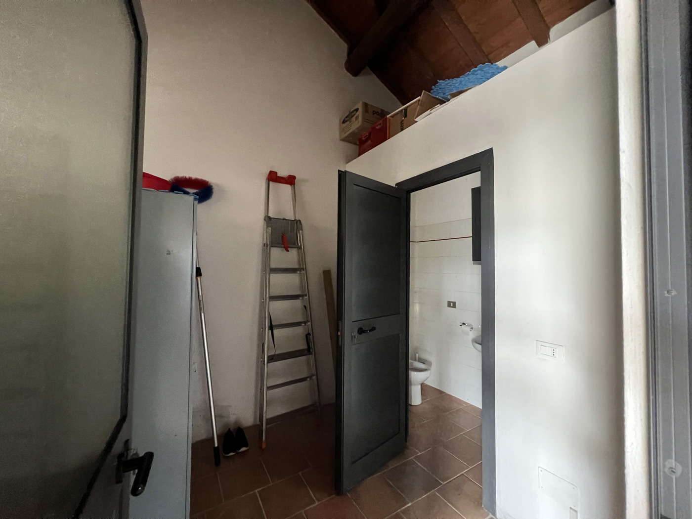 Attivit commerciale in affitto/gestione a Vigevano