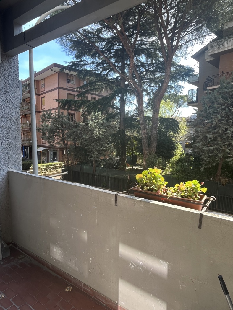 Trilocale arredato in affitto a Roma