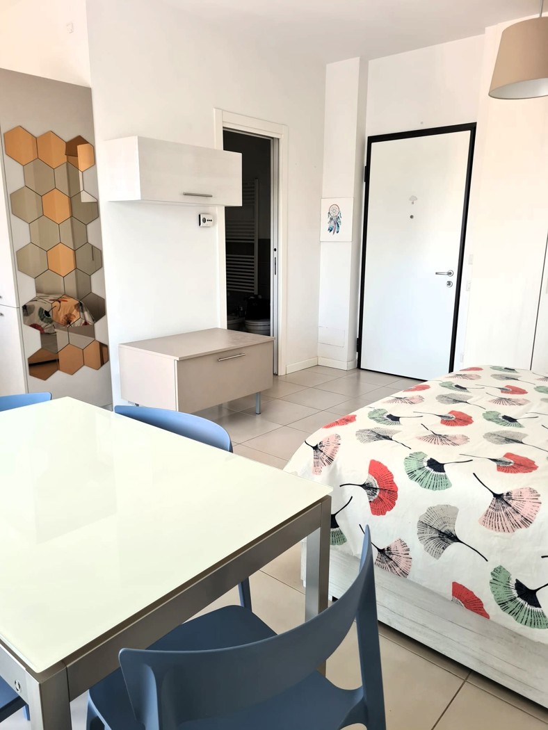 Monolocale arredato in affitto a Roma