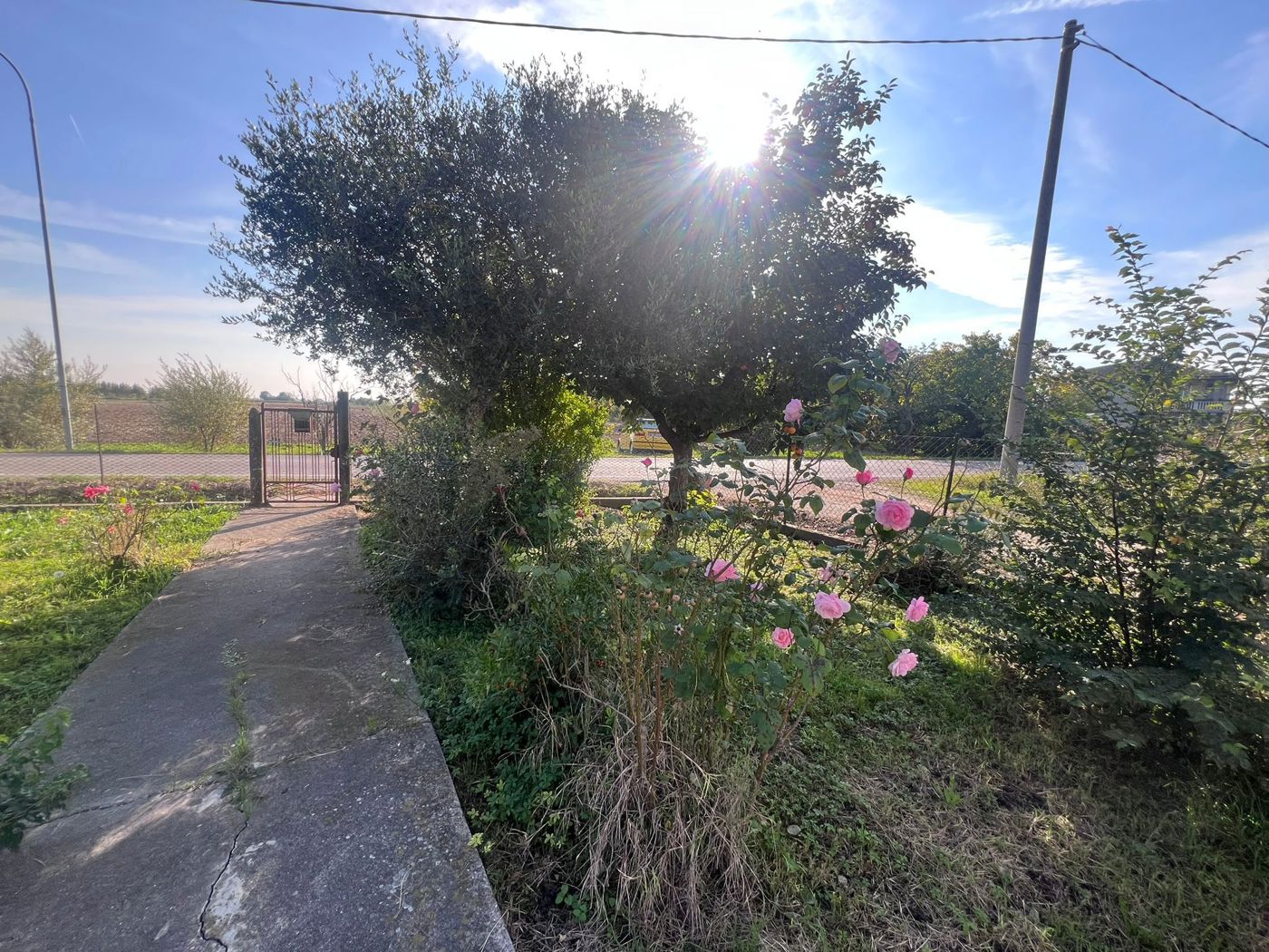 Casa indipendente in vendita a Cologna Veneta