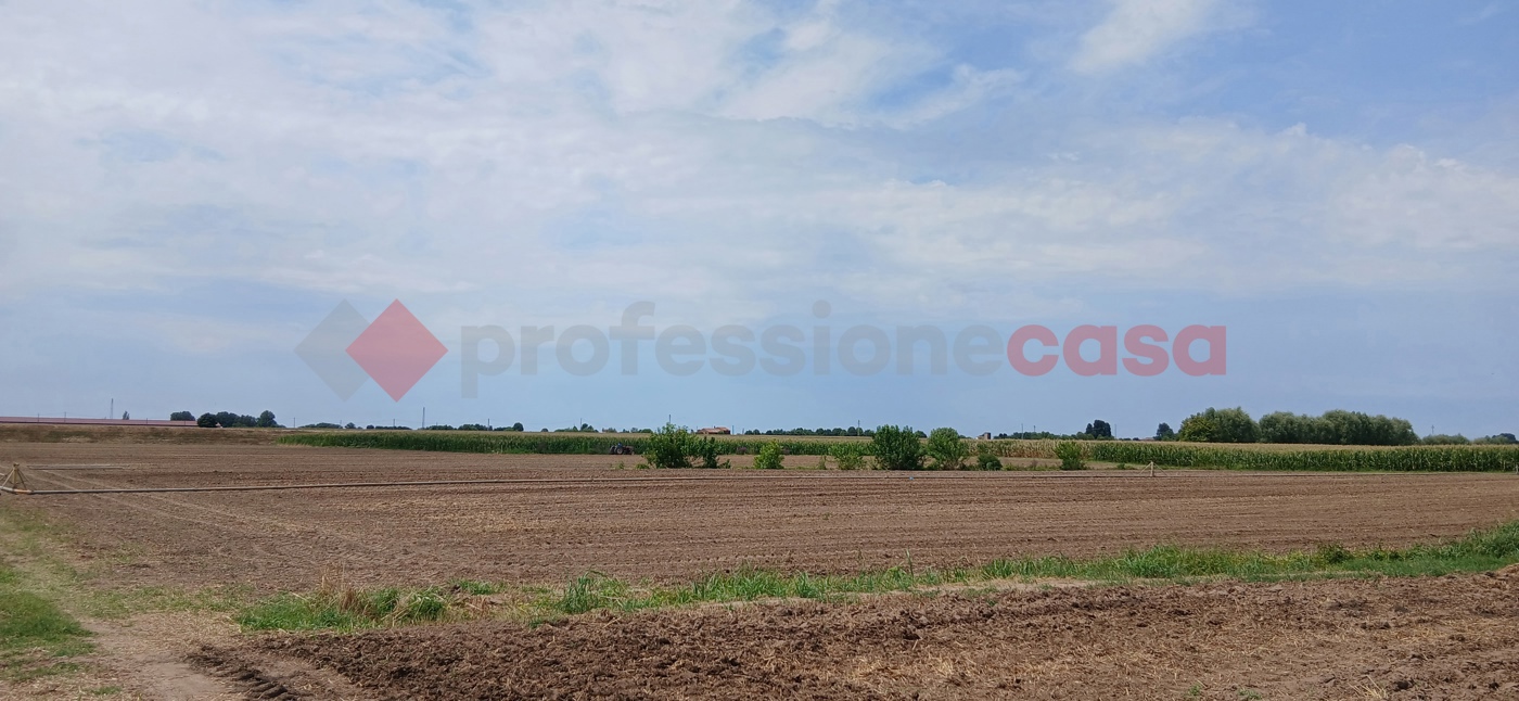 Terreno Agricolo in vendita a Cologna Veneta