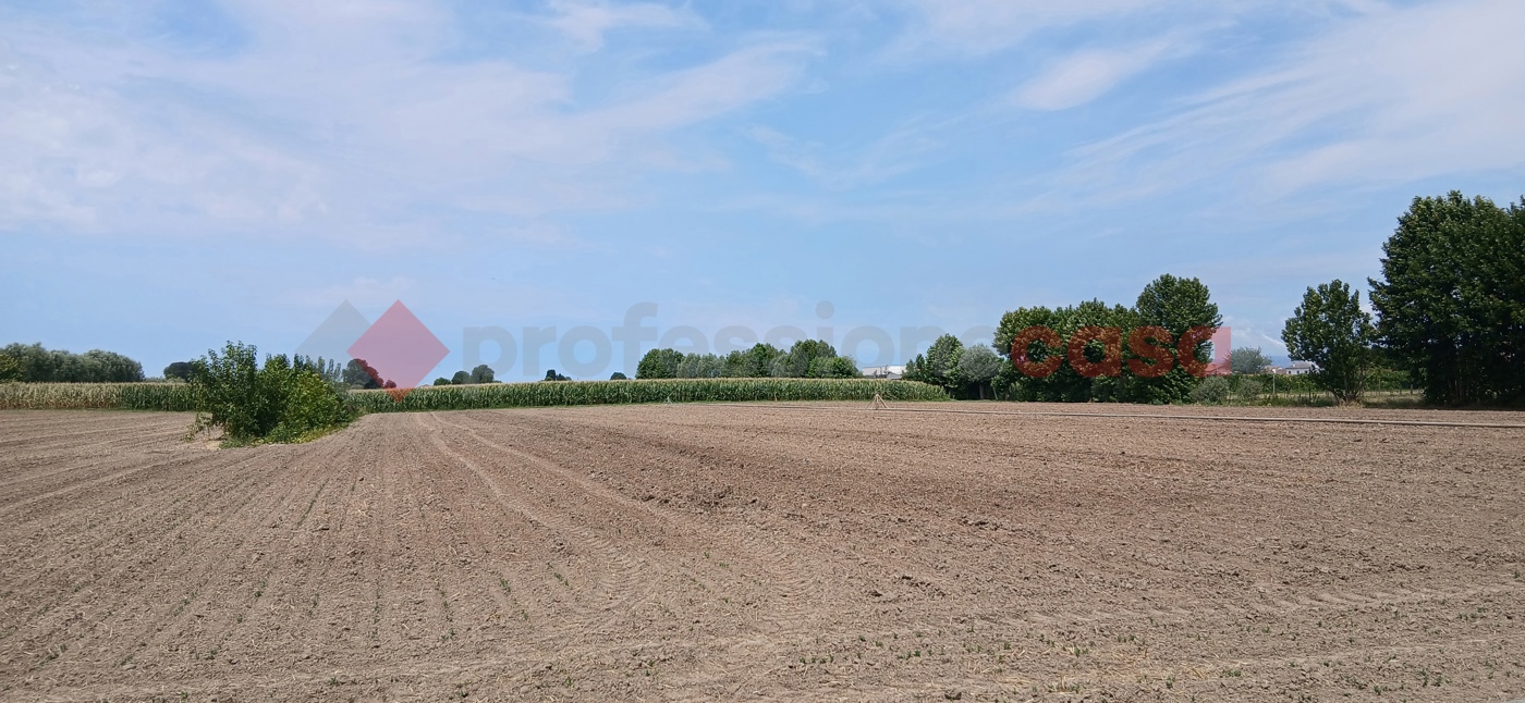 Terreno Agricolo in vendita a Cologna Veneta