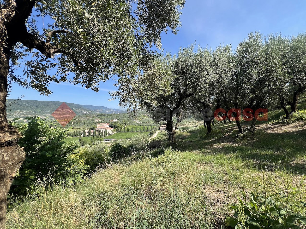 Terreno Agricolo in vendita a Verona