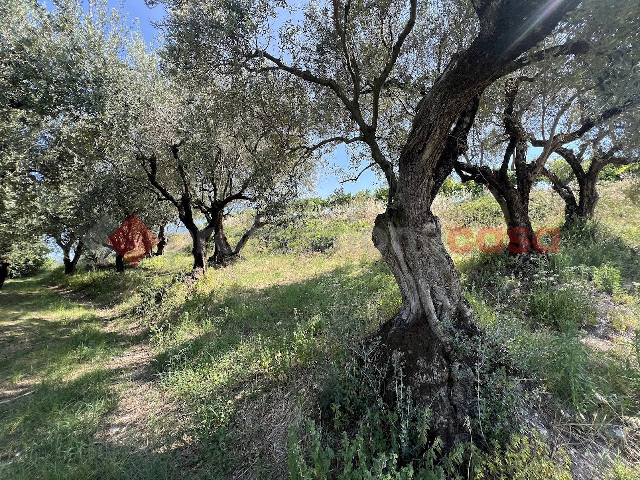 Terreno Agricolo in vendita a Verona