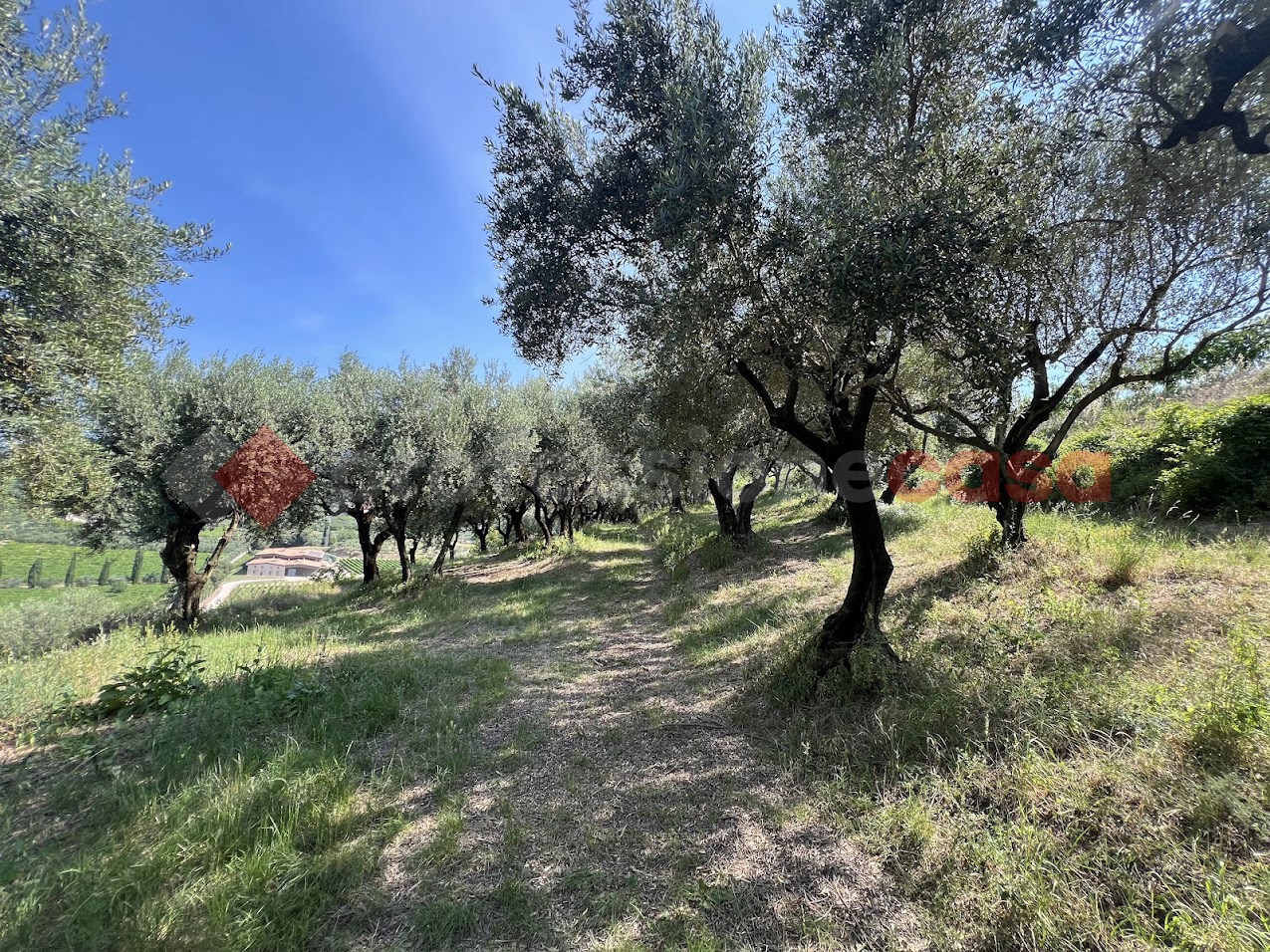 Terreno Agricolo in vendita a Verona
