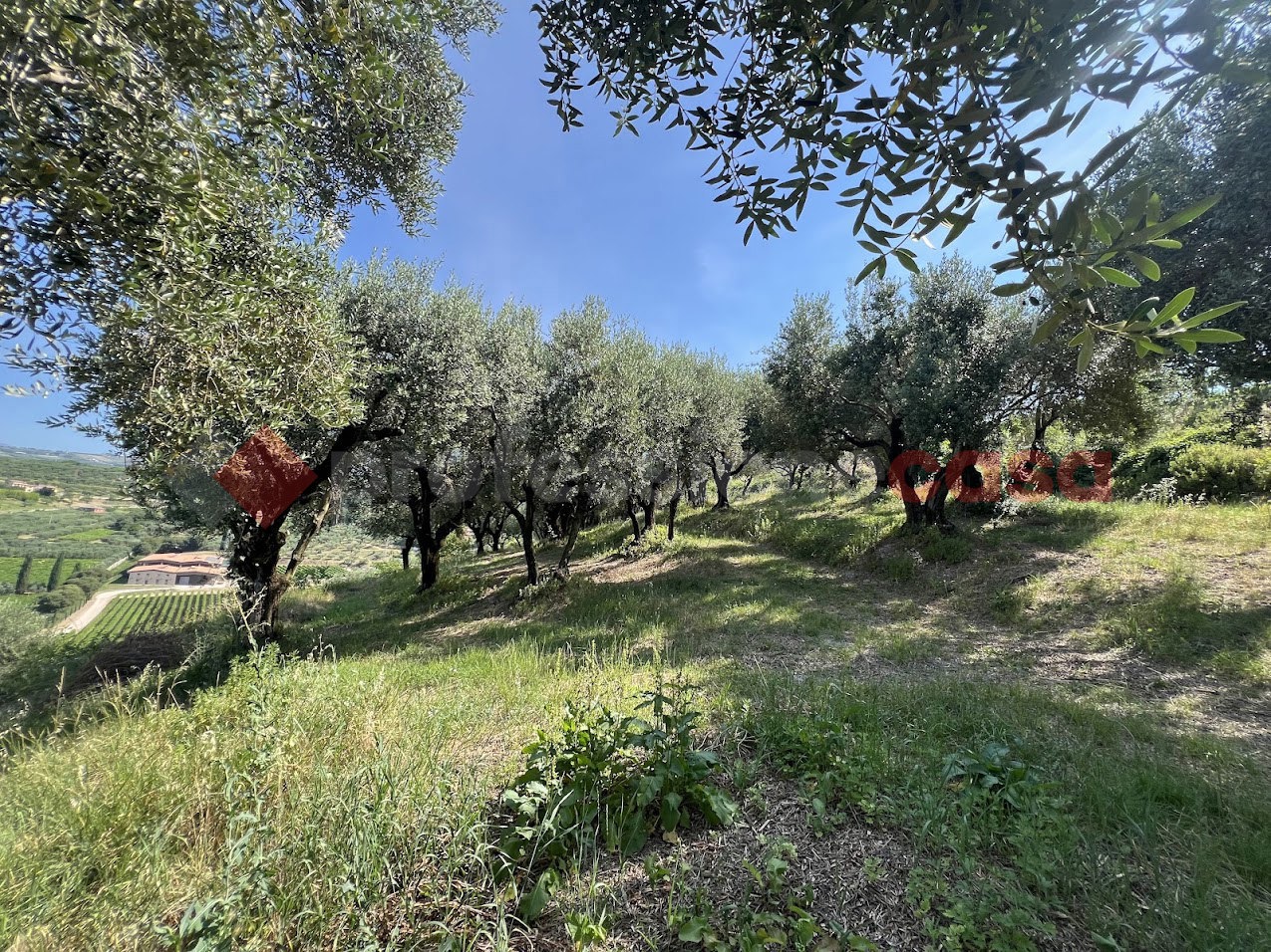 Terreno Agricolo in vendita a Verona