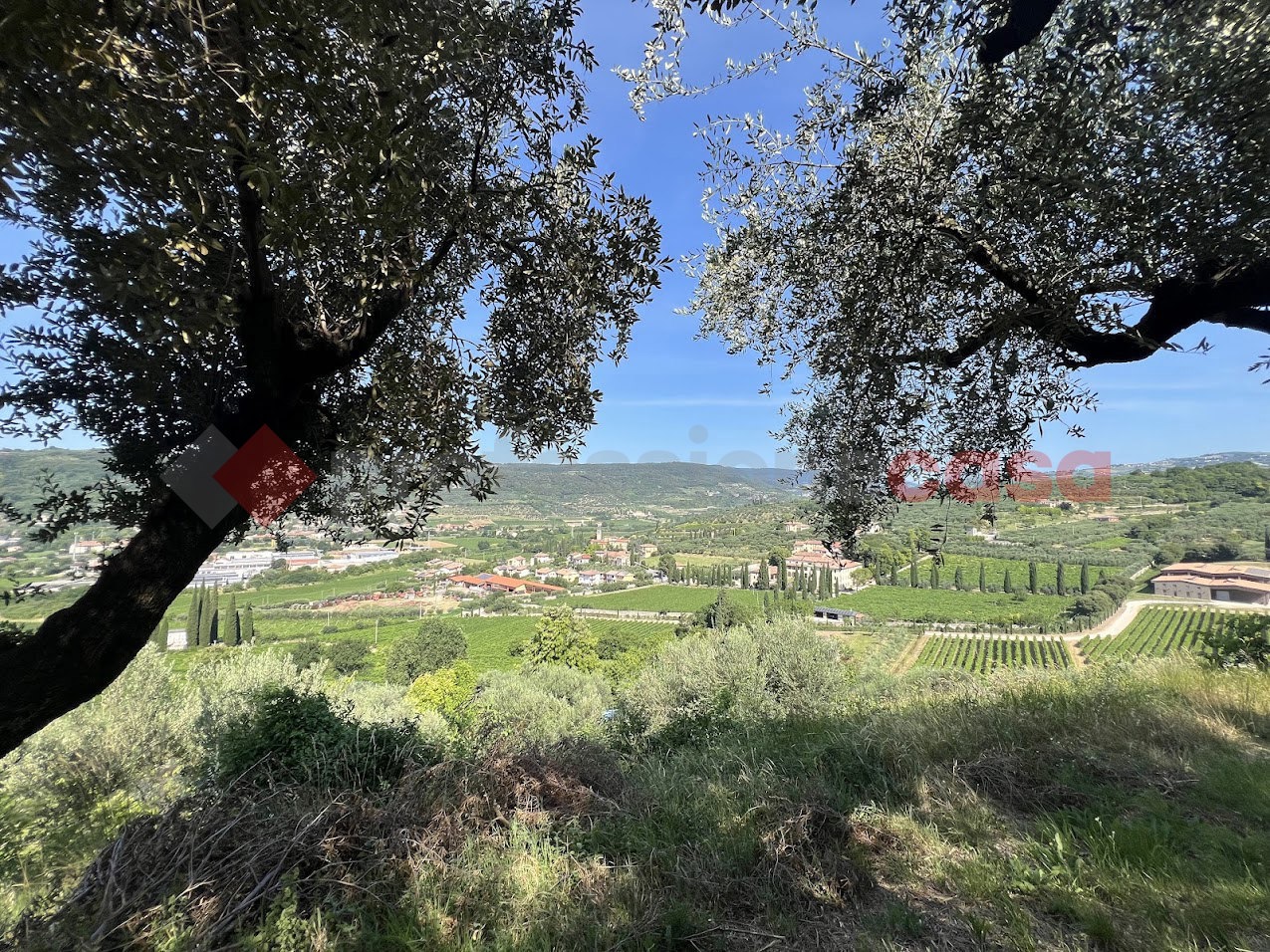 Terreno Agricolo in vendita a Verona