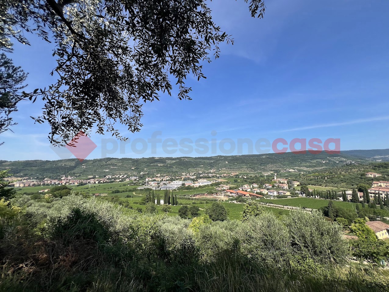 Terreno Agricolo in vendita a Verona