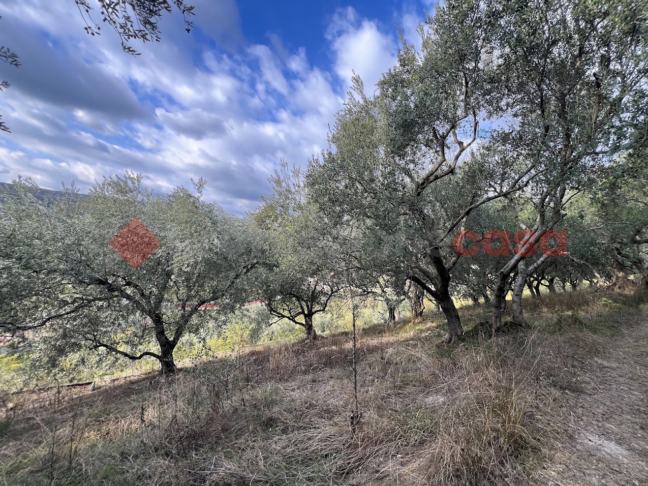 Terreno Agricolo in vendita a Verona