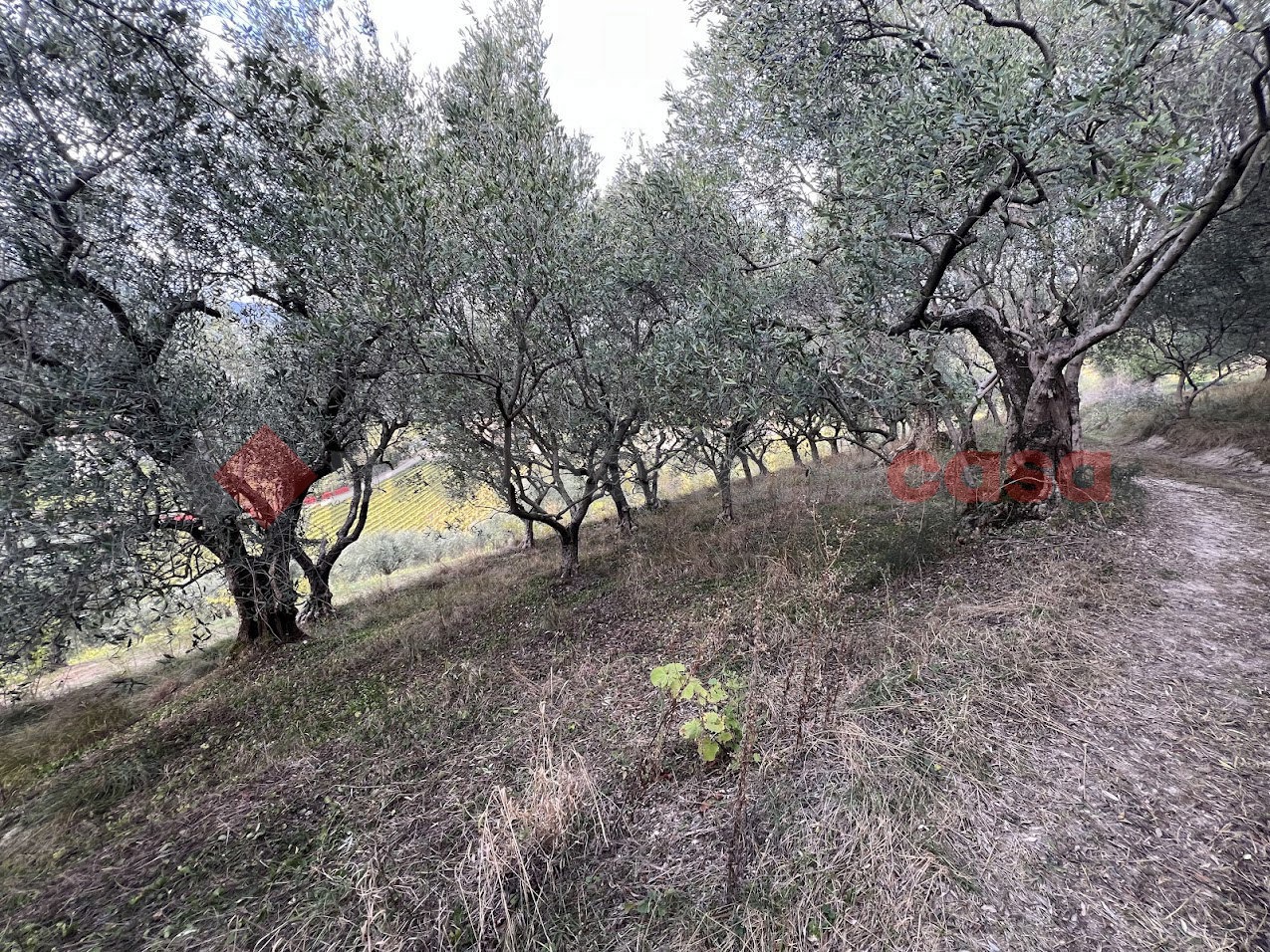 Terreno Agricolo in vendita a Verona