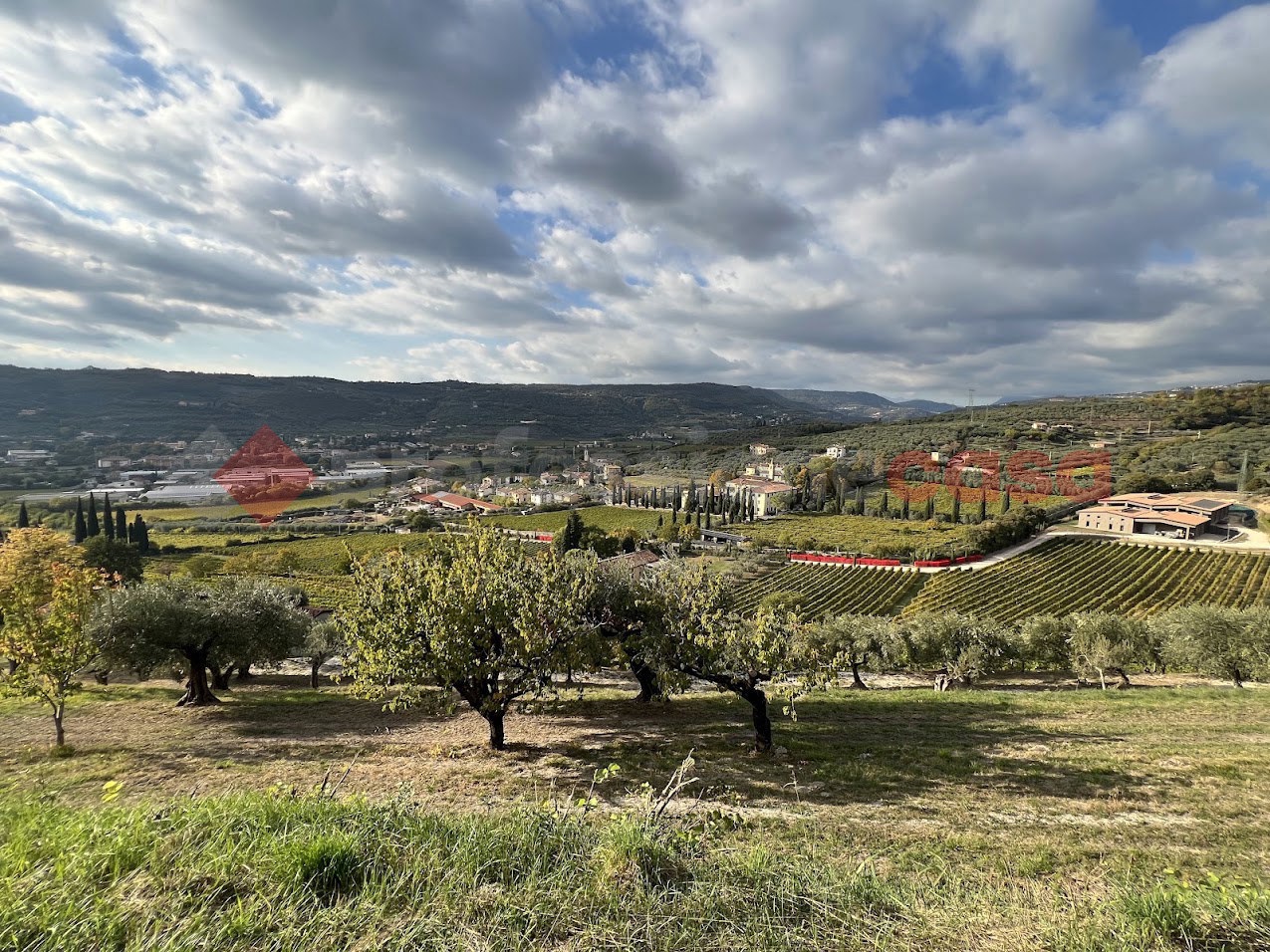 Terreno Agricolo in vendita a Verona