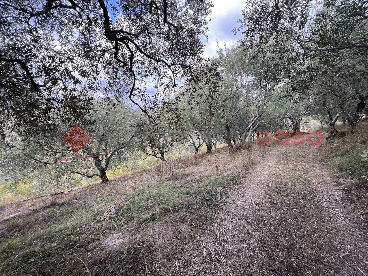 Terreno Agricolo in vendita a Verona