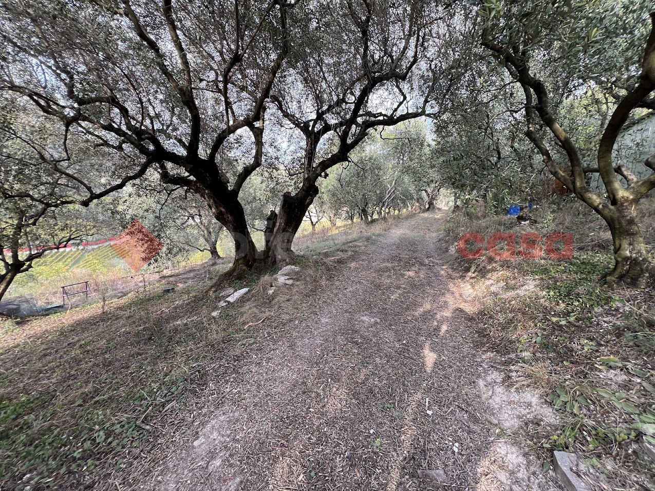 Terreno Agricolo in vendita a Verona