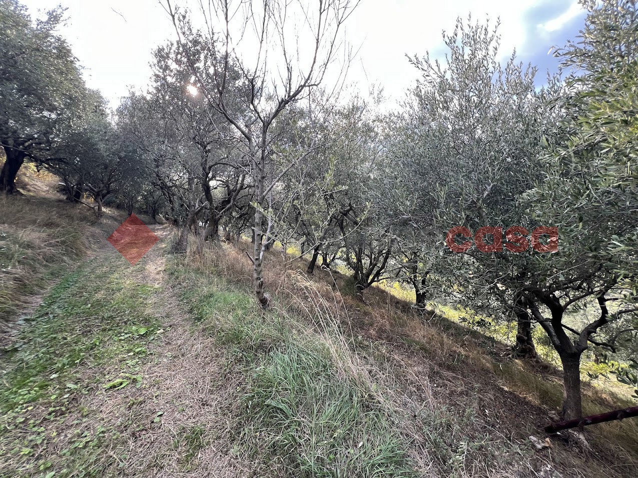 Terreno Agricolo in vendita a Verona