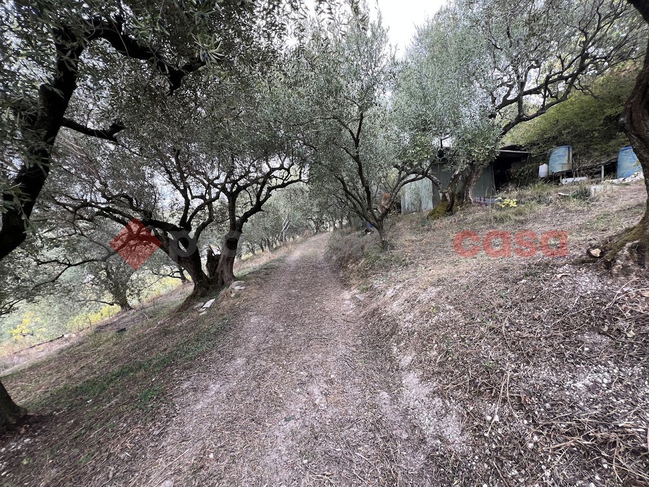 Terreno Agricolo in vendita a Verona