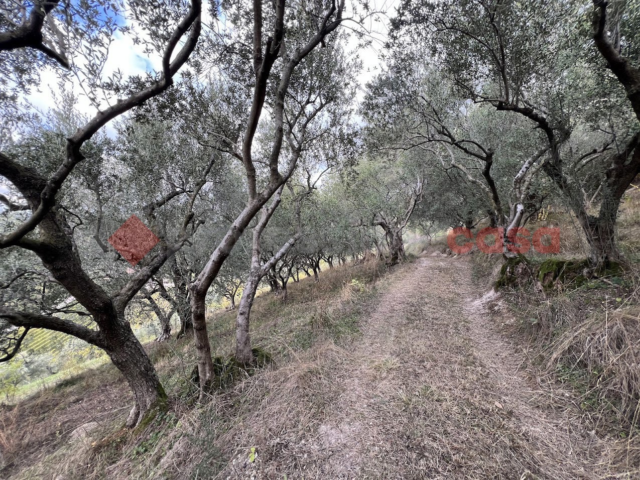 Terreno Agricolo in vendita a Verona
