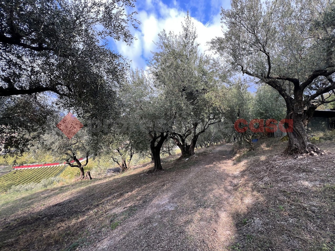 Terreno Agricolo in vendita a Verona