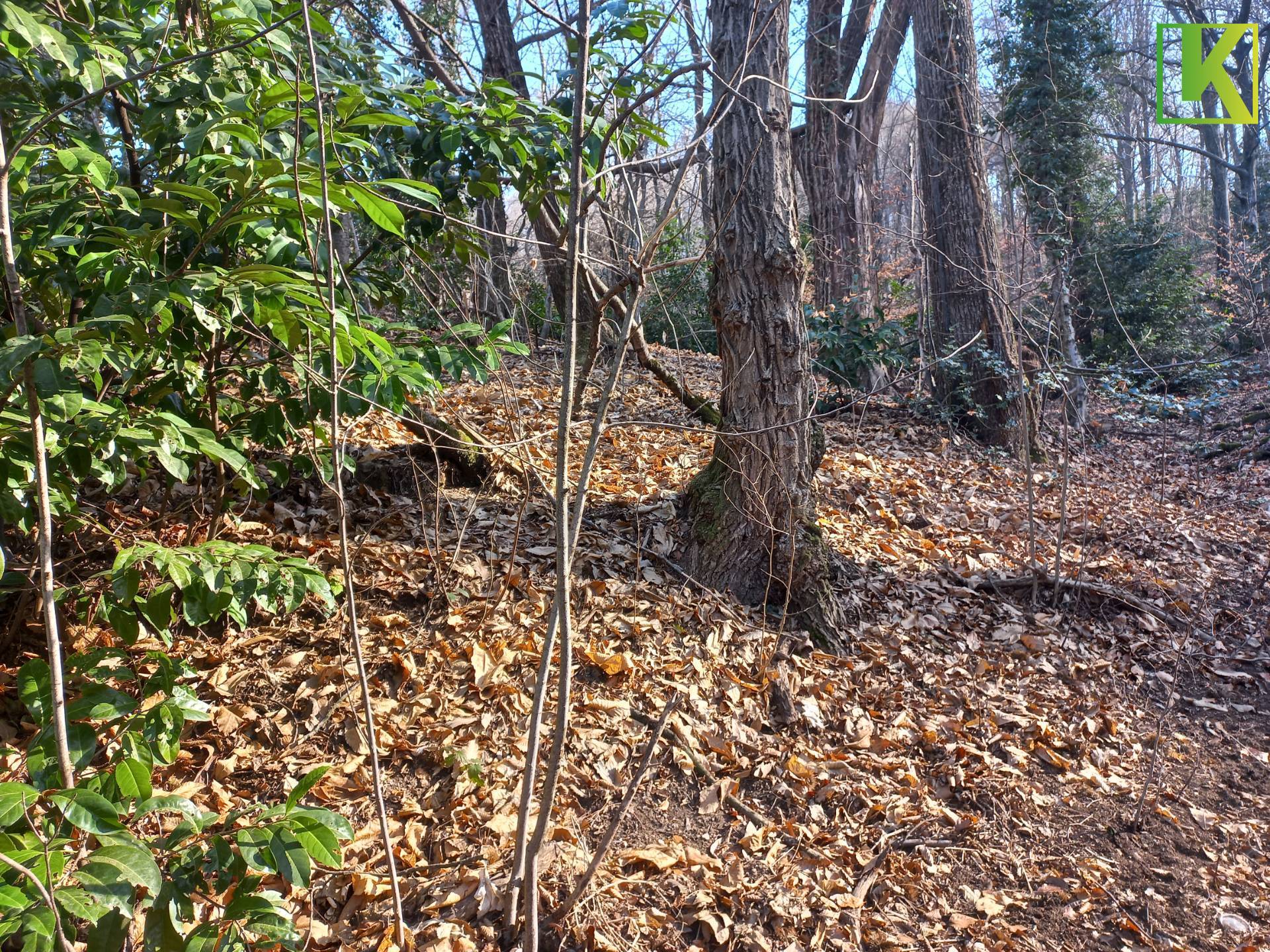 Terreno edificabile in vendita a Valganna