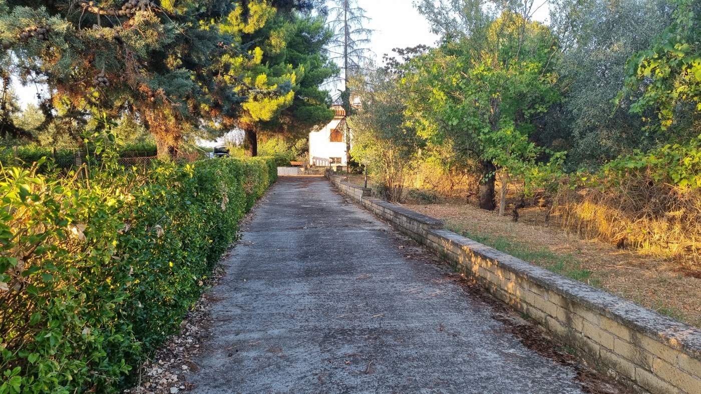 Villa con giardino a Gallicano nel Lazio