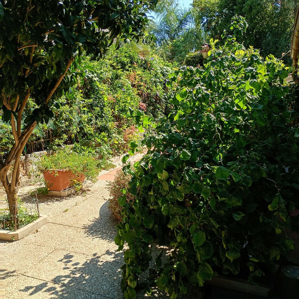 Villa con giardino a Santa Marinella