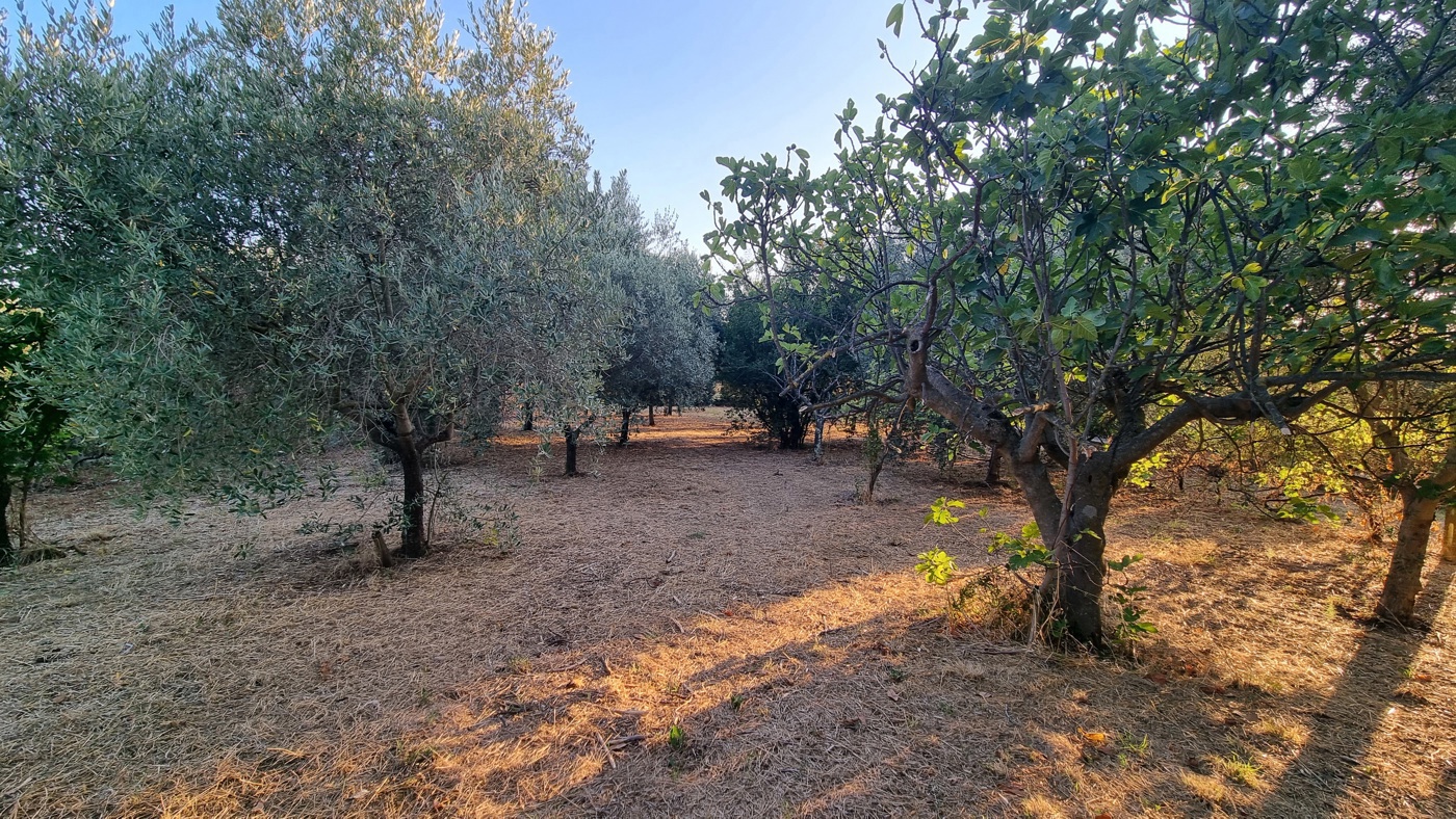Villa con giardino a Gallicano nel Lazio