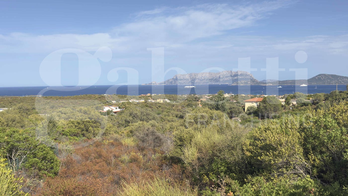 Terreno Agricolo vista mare a Olbia