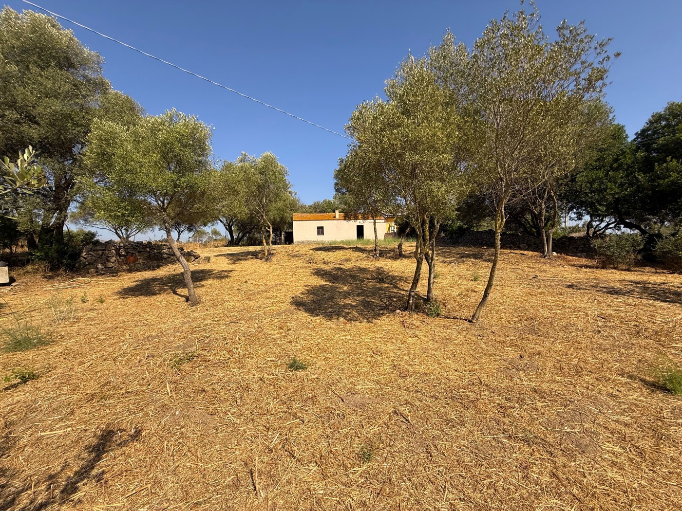 Casa indipendente in vendita a Olbia