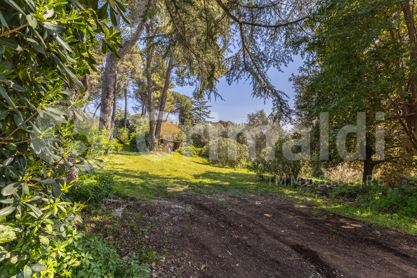 Villa con giardino a Roma