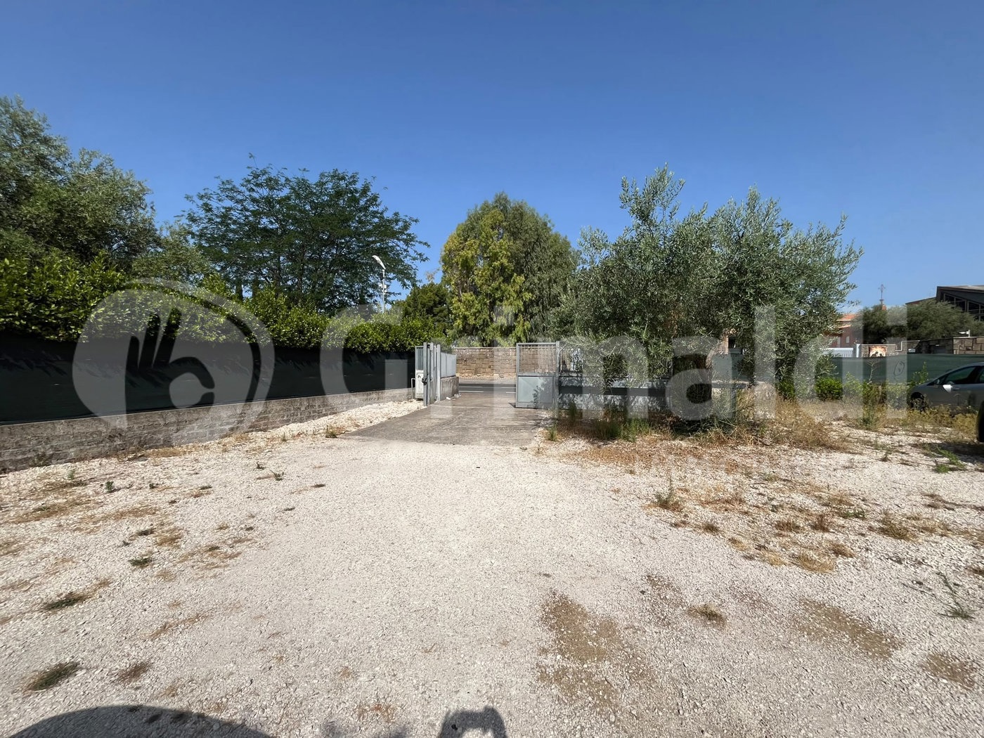 Terreno Agricolo in affitto a Roma