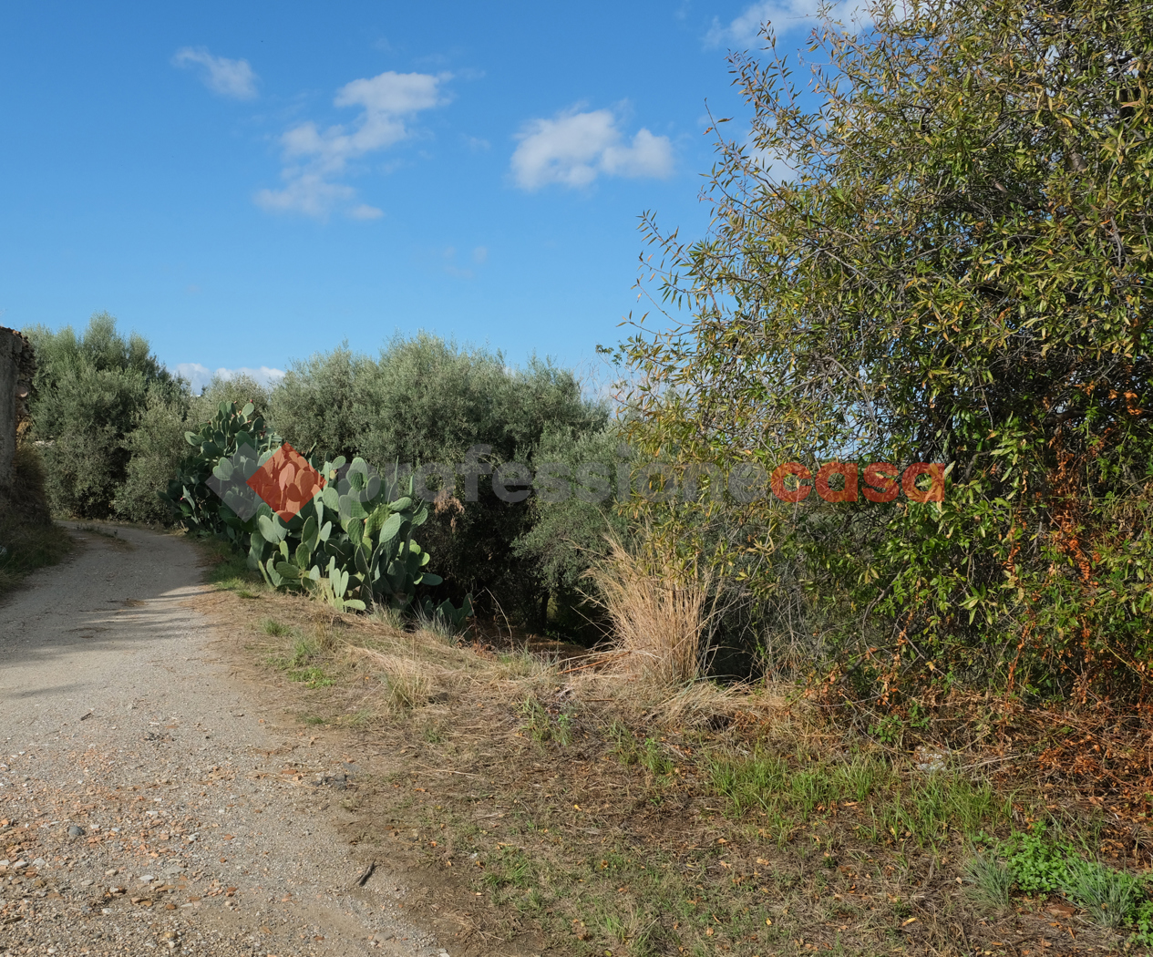 Terreno Agricolo in vendita a Pace del Mela