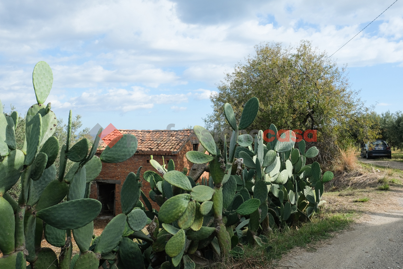 Terreno Agricolo in vendita a Pace del Mela