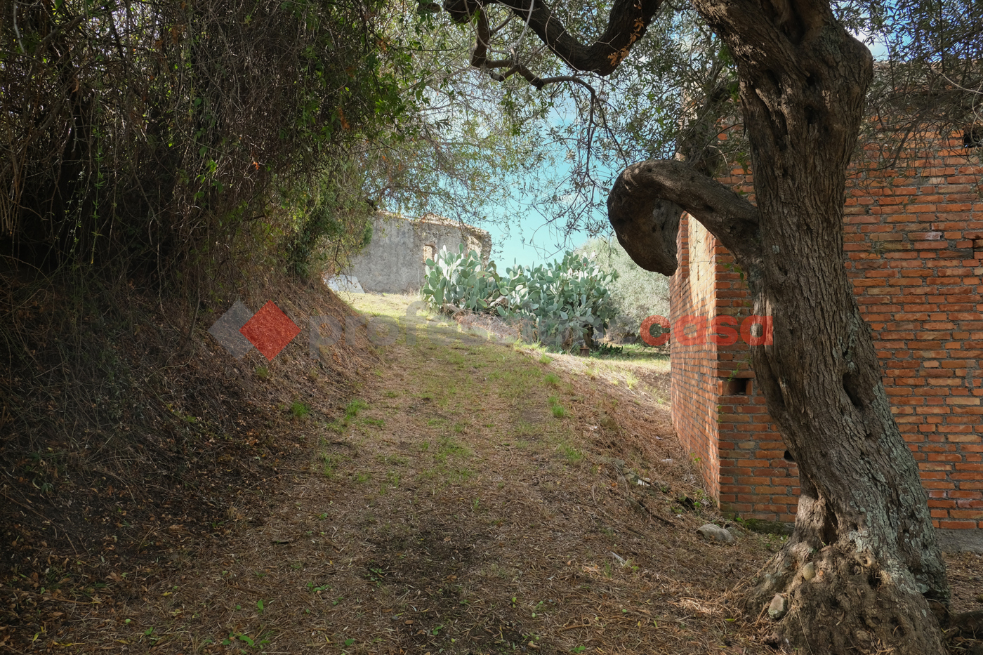 Terreno Agricolo in vendita a Pace del Mela