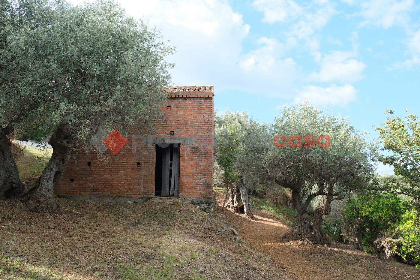 Terreno Agricolo in vendita a Pace del Mela