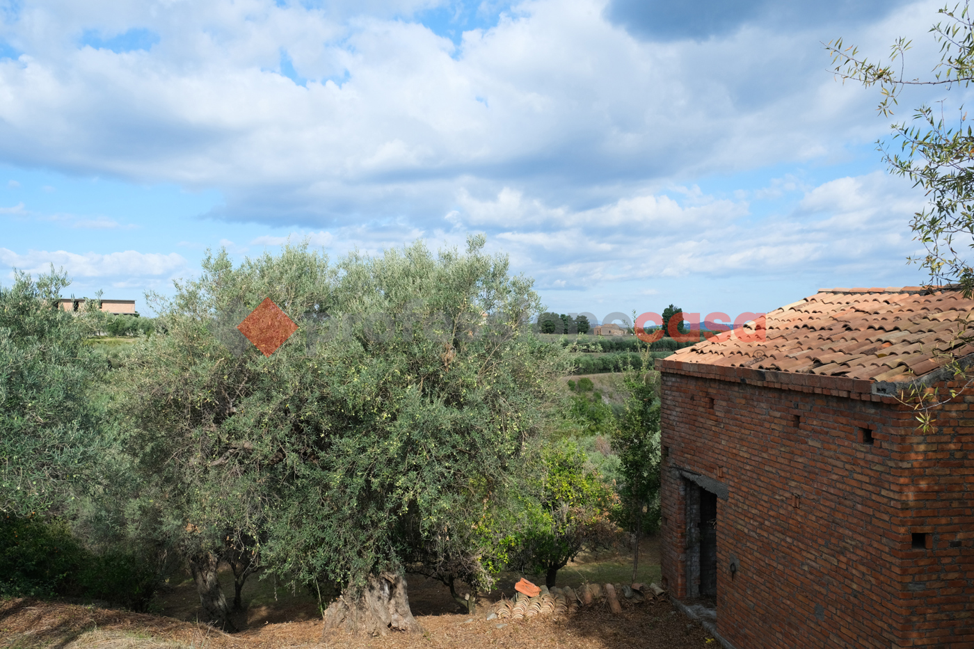 Terreno Agricolo in vendita a Pace del Mela