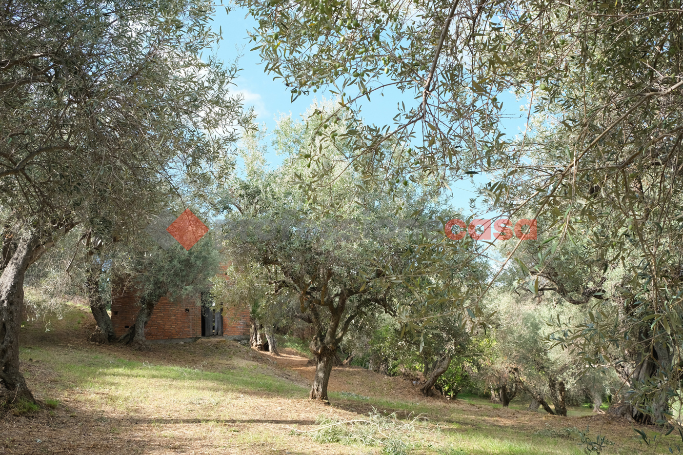 Terreno Agricolo in vendita a Pace del Mela