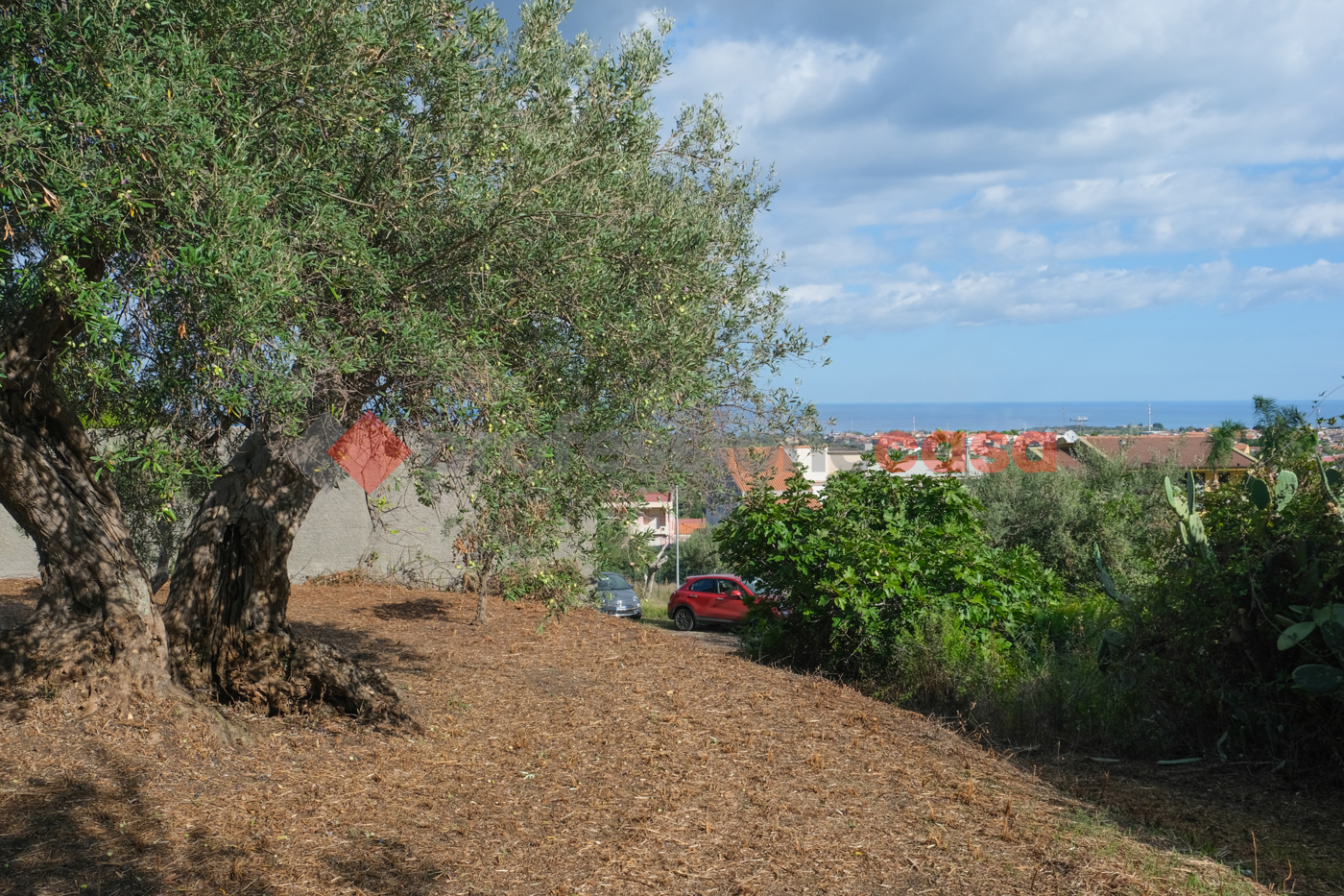 Terreno Agricolo in vendita a Pace del Mela
