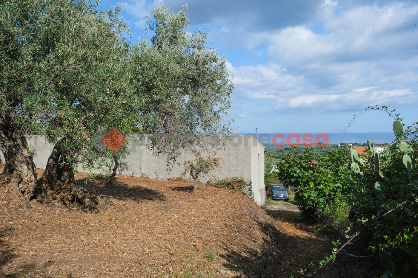 Terreno Agricolo in vendita a Pace del Mela